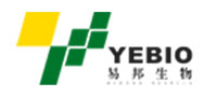 ဘိရယ်င်